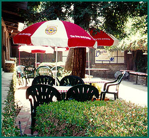 Patio View